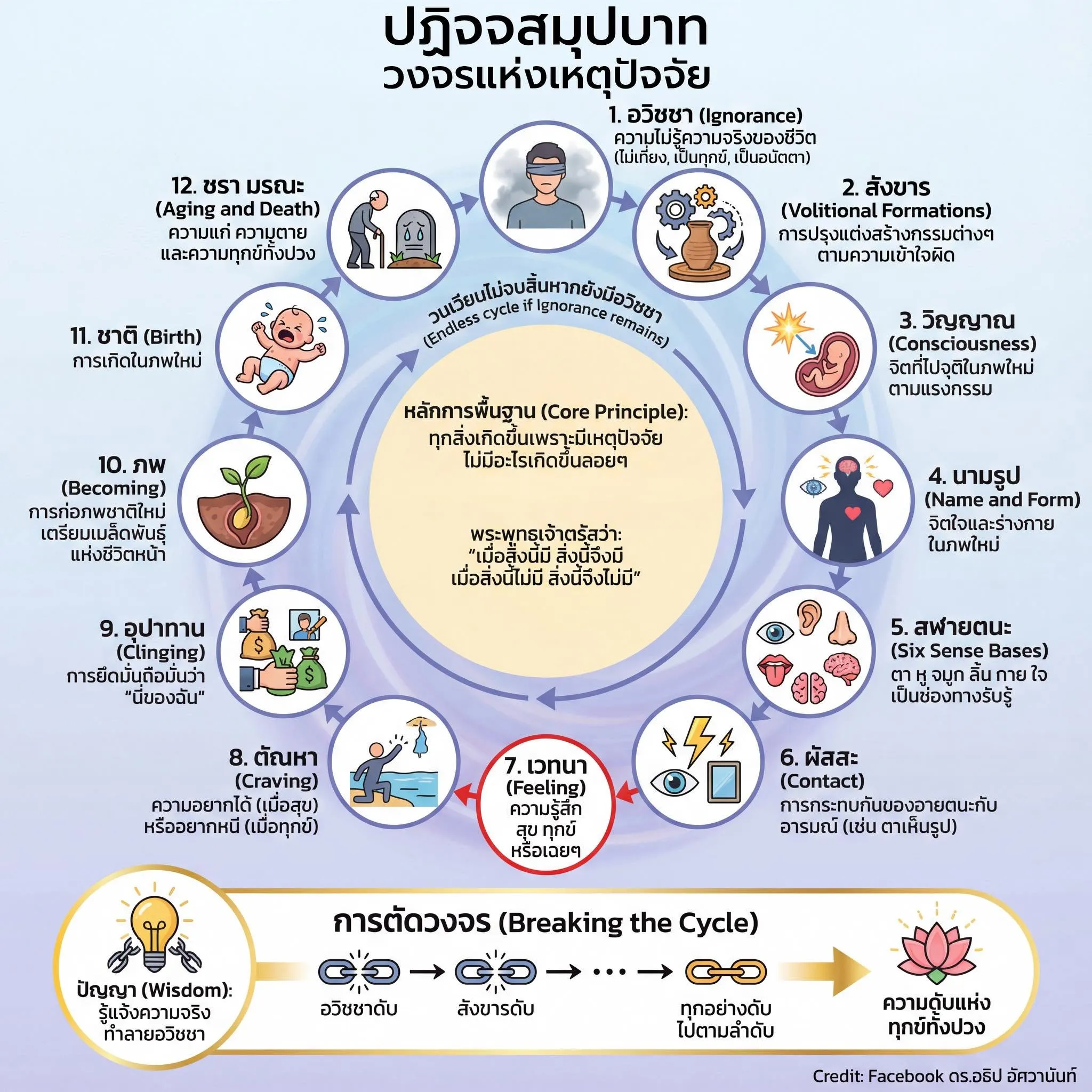 ปฏิจจสมุปบาท วงจรแห่งเหตุปัจจัย